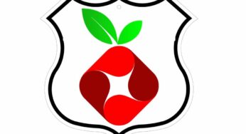 Install Pi-hole in your Raspberry PI with Raspberry Pi OS Lite