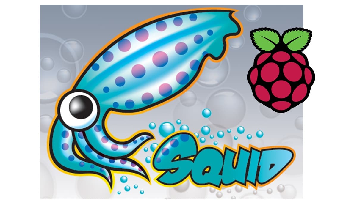 Raspberry pi squid featured image