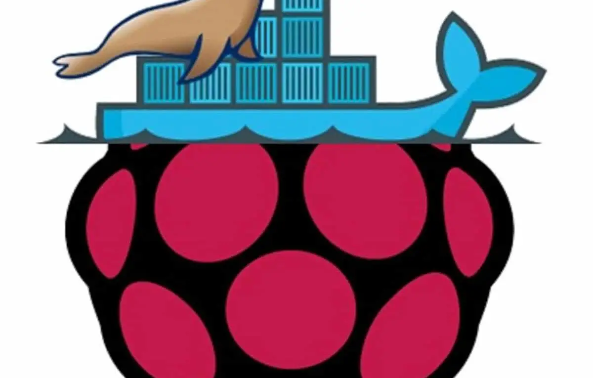 Raspberry PI Docker custom mariadb logo_2