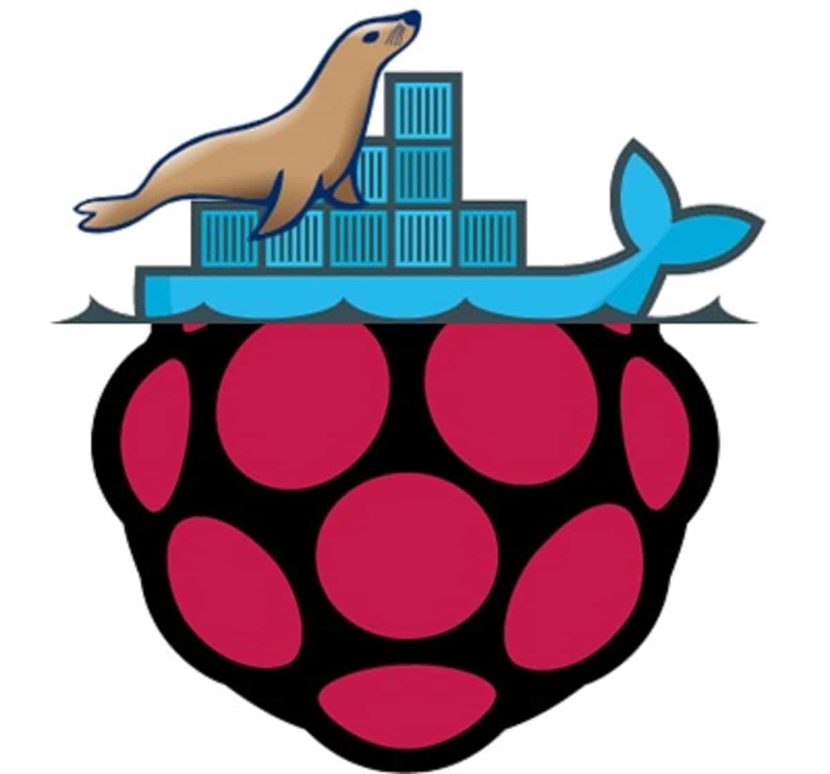 Raspberry PI Docker custom mariadb logo_2