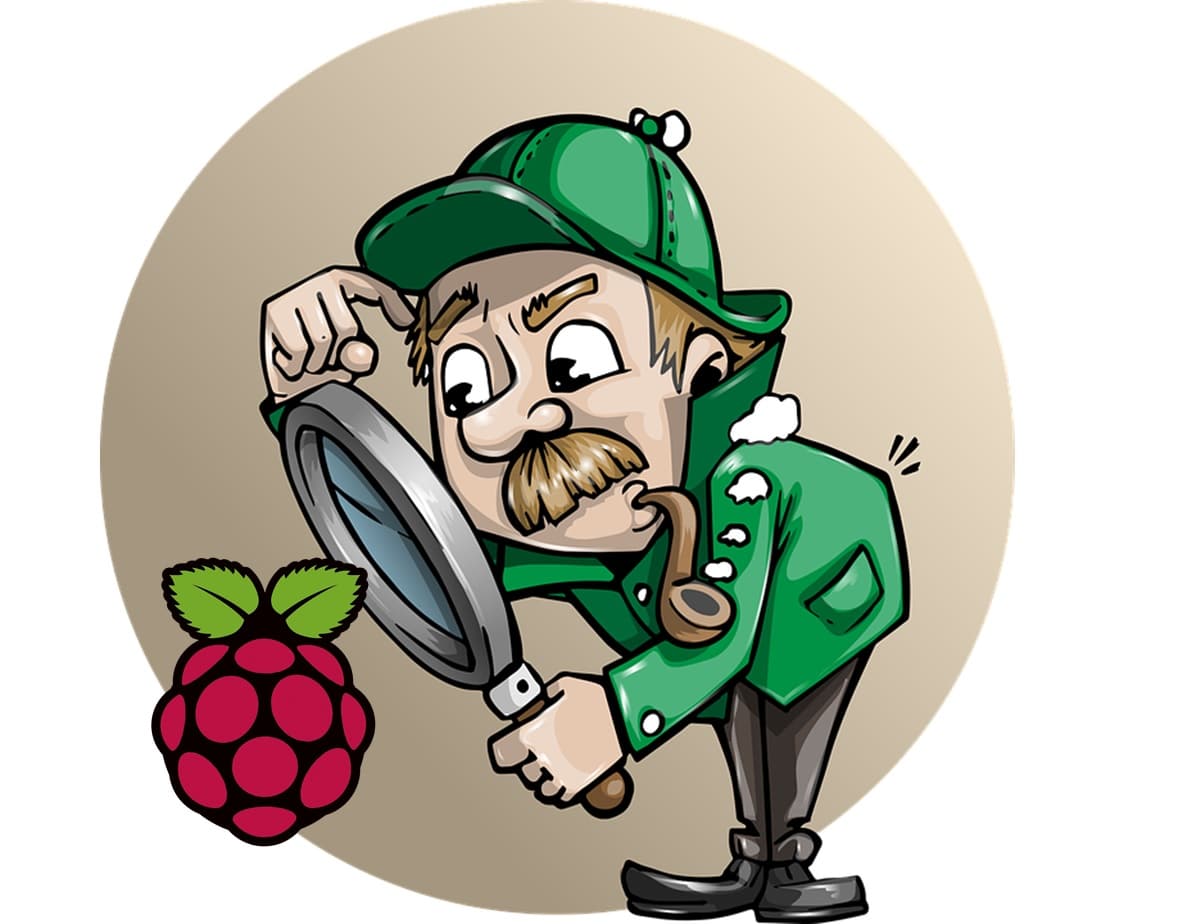 Raspberry pi find ip