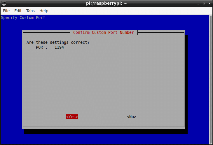 raspberry pi pivpn server setup 11