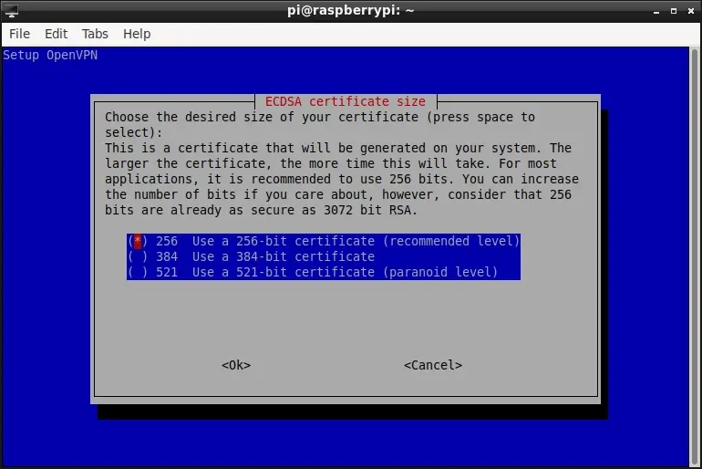 raspberry pi pivpn server setup 15_2