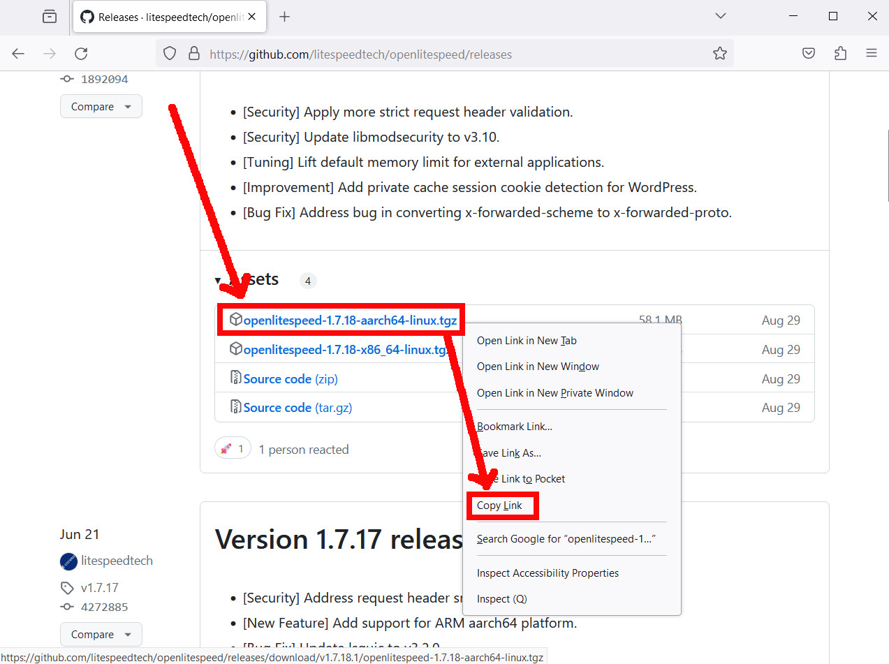 openlitespeed-github-arm-copy-link