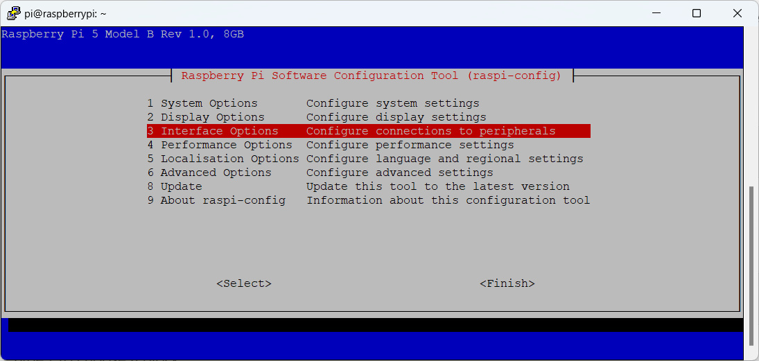 raspi-config-home-interface-selected