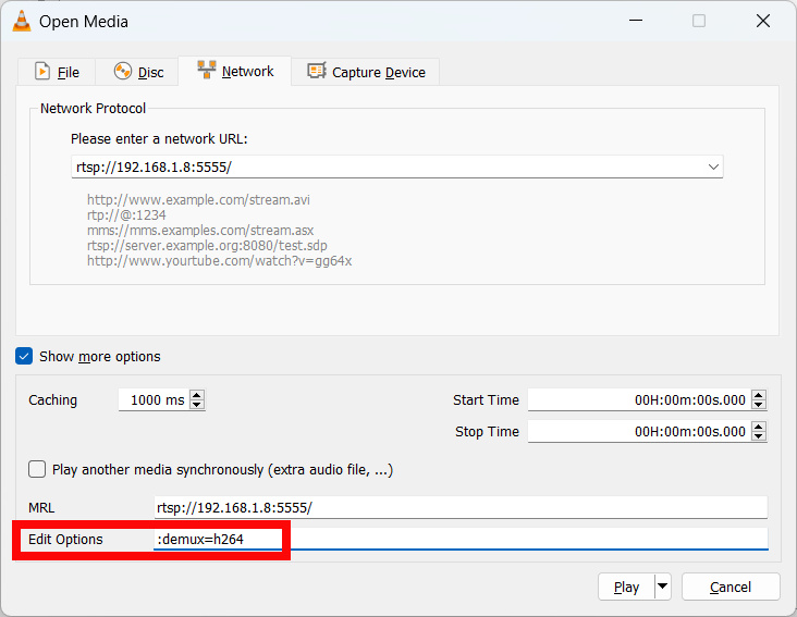 vlc-media-open-media-options-demux-h264
