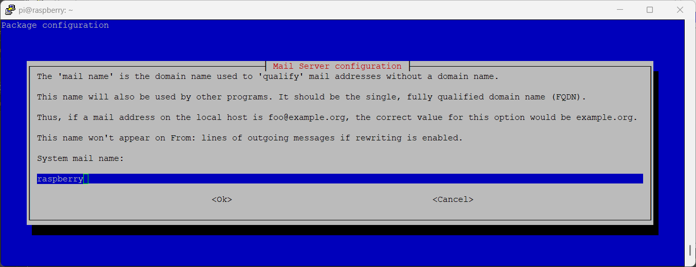exim-raspberry-pi-reconfigure-02-mail-name-selection