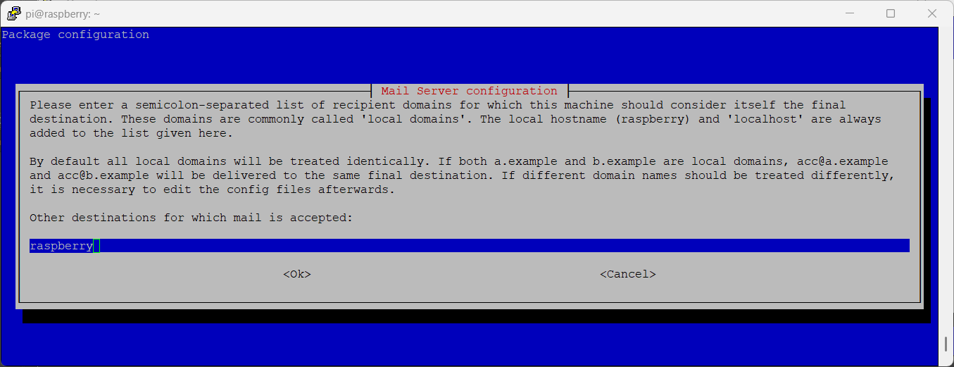 exim-raspberry-pi-reconfigure-04-other-destinations-selection