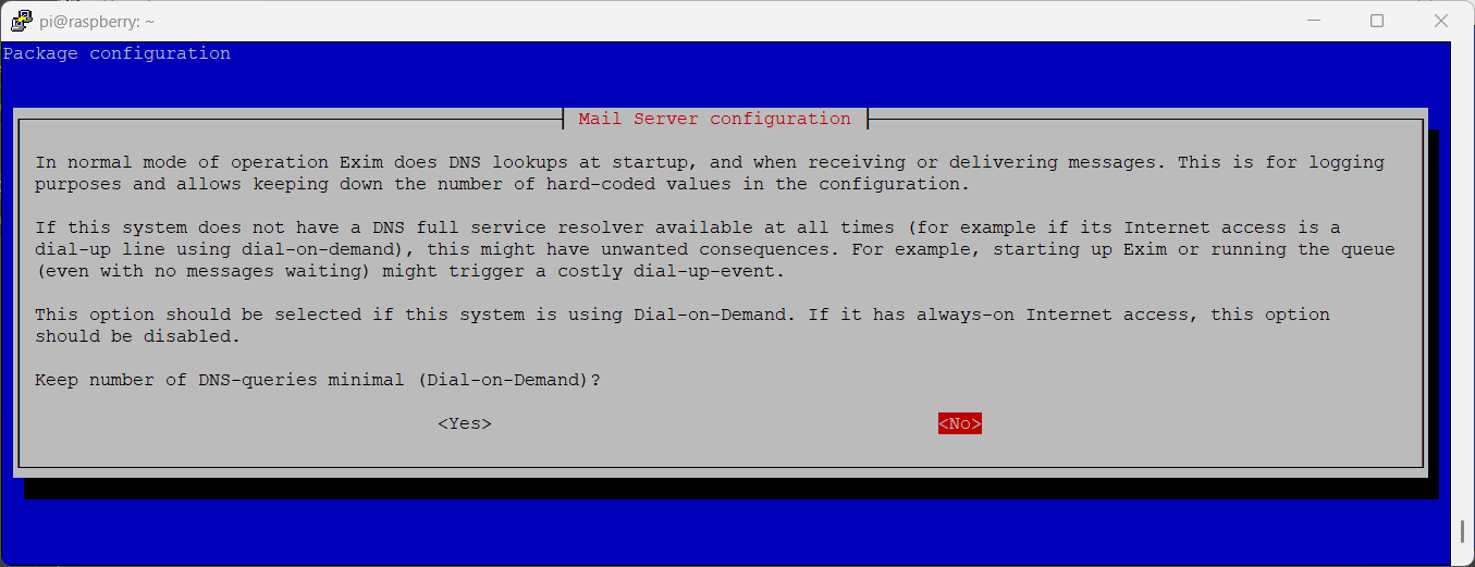 exim-raspberry-pi-reconfigure-07-dns-queries-selection